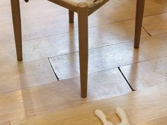 -猫咪派对(江南西店)