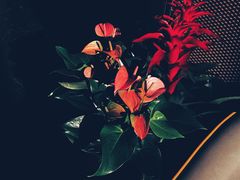 -BLAQ咖啡(骏豪店)