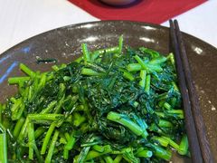 -松赞拉萨林卡酒店