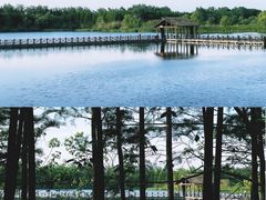 -溱湖国家湿地公园