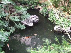 室内鱼池-广州白天鹅宾馆