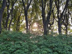 -石湖景区