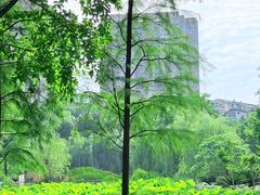 -沐仙湖湿地公园
