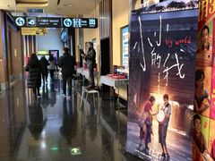 -华谊兄弟影院(IMAX洋桥店)