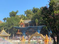 -西双版纳原始森林公园
