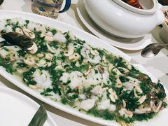 笋壳鱼-蝶园·装修中(BFC外滩金融中心店)