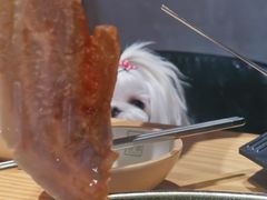 -喜来稀肉(北外滩白玉兰广场店)