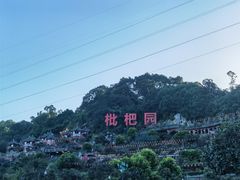-枇杷园食为鲜火锅(南山店)