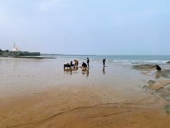 -日照灯塔风景区