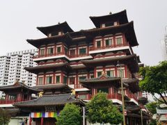 -新加坡乌节希尔顿酒店 (SG Clean)