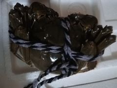 -喜洋洋蟹庄(阳澄湖店)