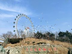 -大连森林动物园