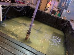 -小象钓虾·营地烧烤(洛溪店)