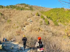 -北京鹫峰国家森林公园