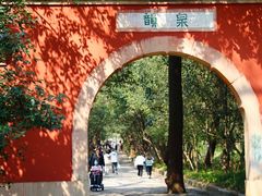 -灵谷景区