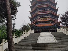 -铁山坪森林公园