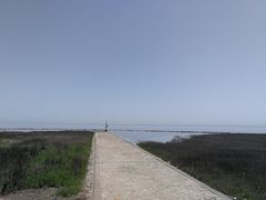 -南汇嘴观海公园