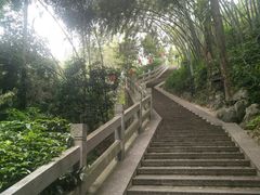-龙井村
