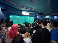 -苏州海洋馆