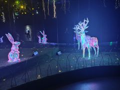 -印象西湖·最忆是杭州实景演出