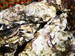-蚝堡海鲜·威海菜·海肠捞饭·烧烤·亚洲吃蚝公司(幸福门店)