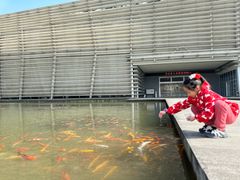 -中国宣纸文化园