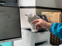 -安安宠医·安烨宠物医院·宠物保险(北仑分院)