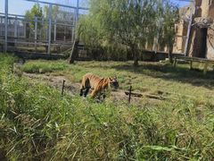 -临沂动植物园
