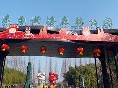 -黄海国家森林公园