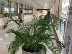 -天津市泰达医院