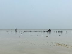 -红树林天天赶海