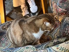 -咖法森林·咖啡  酒吧(天河店)