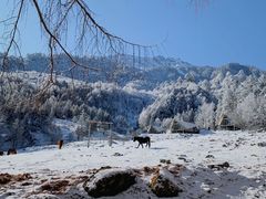 -硗碛藏寨·神木垒景区