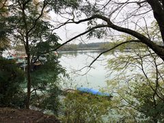 -扬美古镇景区