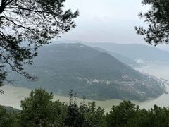 -铁山坪森林公园