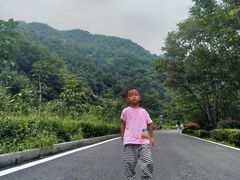 -牛背梁国家森林公园