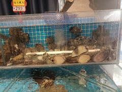 -韩记海鲜饺子旗舰店(红海新区店)