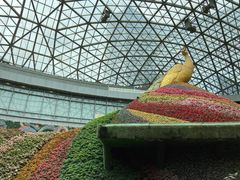 -花之城