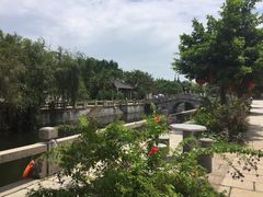 -南沙蒲洲花园