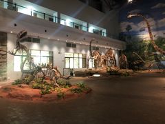 -自贡恐龙博物馆