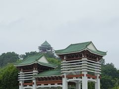 -王借岗森林公园