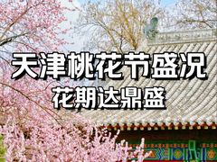 -桃花堤公园