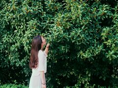 -南山植物园