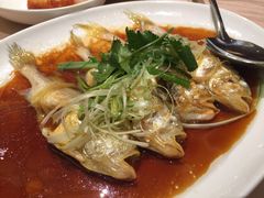梅子鱼-陶陶居海鲜酒家(新马路店)