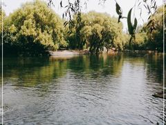 -百脉泉景区