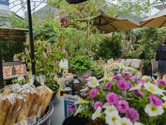 -大隐花事(熊婆婆的花园店)