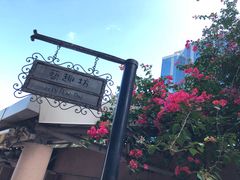 -九龙公园