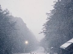 -北海道神宫
