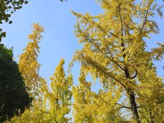 -成都中医药大学(温江校区)