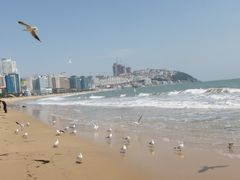 -海云台海滩